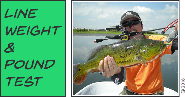 Choosing the Right Fishing Line: Line Weight & Pound Test